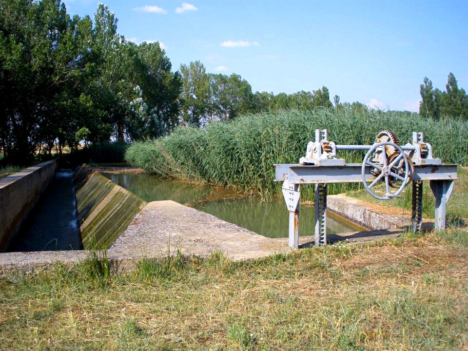 Abarca de Campos 2