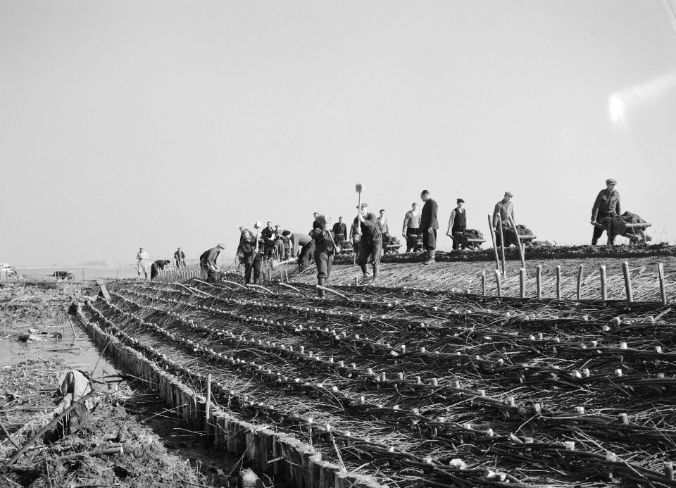 Aanleg en verbeteren van wegen, dijken en spaarbekken, dijkherstel, rijsvlechter, Bestanddeelnr 161-0069