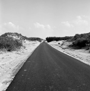 Aanleg en verbeteren van wegen, dijken en spaarbekken, duinen, haasveld, Bestanddeelnr 161-0564