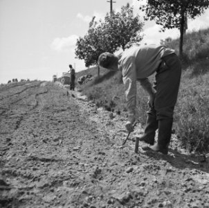 Aanleg en verbeteren van wegen, dijken en spaarbekken, cementstabilisatie, verha, Bestanddeelnr 161-0387