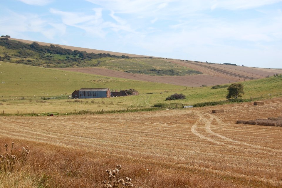 Abandoned Farm Buildings at Balsdean, Brighton (August 2019) (1)
