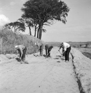 Aanleg en verbeteren van wegen, dijken en spaarbekken, cementstabilisatie, profi, Bestanddeelnr 161-0384