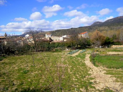 Abalos 02