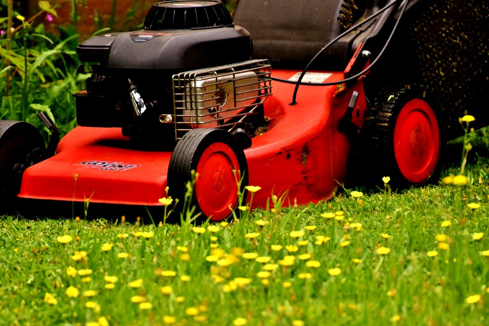 Green meadow gardening