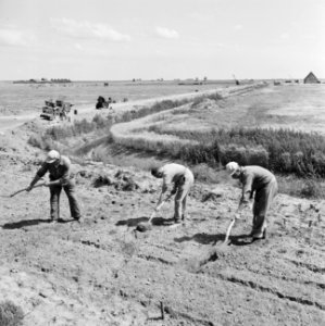 Aanleg en verbeteren van wegen, dijken en spaarbekken, cementstabilisatie, profi, Bestanddeelnr 161-0390