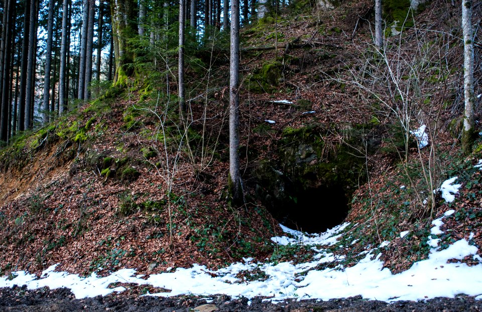 Abandoned coal mine near Hollenstein 2