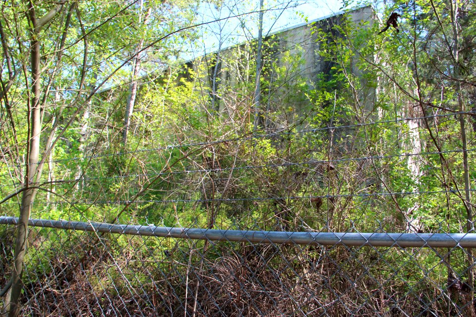 Abandoned GNAL bulding, Dawson Forest
