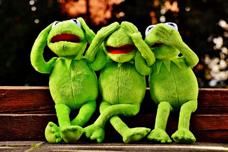 Funny kermit frog photo