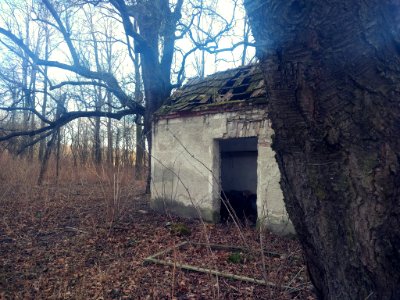 Abandoned Forest House (201062991)