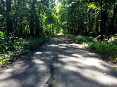 Abandoned Reed Road