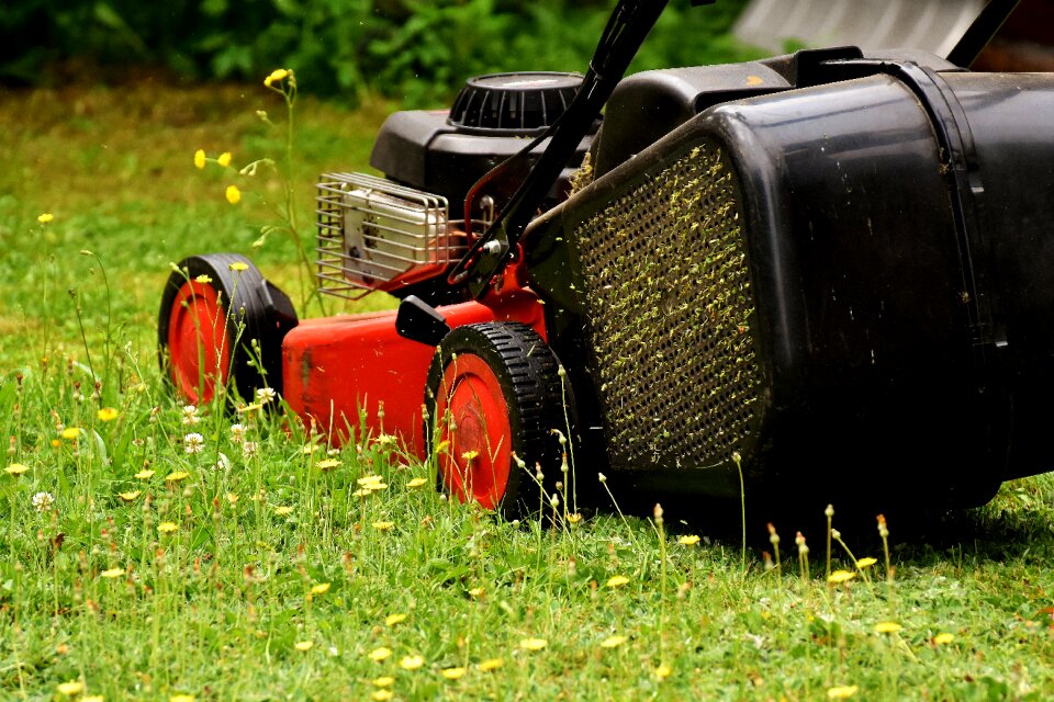 Green meadow gardening
