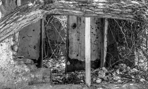 Abandoned House 334
