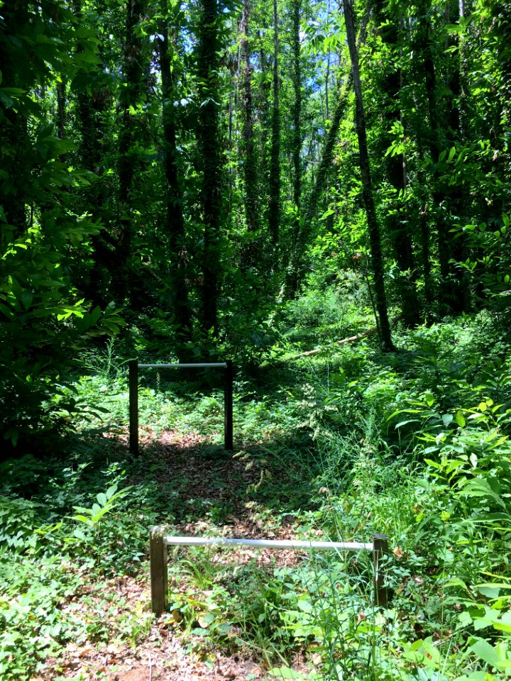 Abandoned playground – Parco urbano dei Camaldoli (Naples)-3