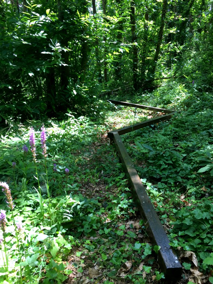 Abandoned playground – Parco urbano dei Camaldoli (Naples)-4