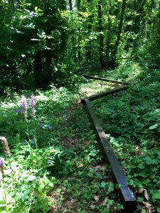 Abandoned playground – Parco urbano dei Camaldoli (Naples)-4