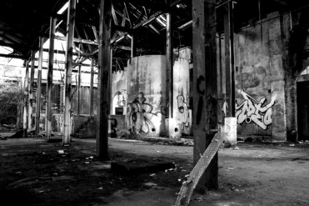 Abandoned (48527960)