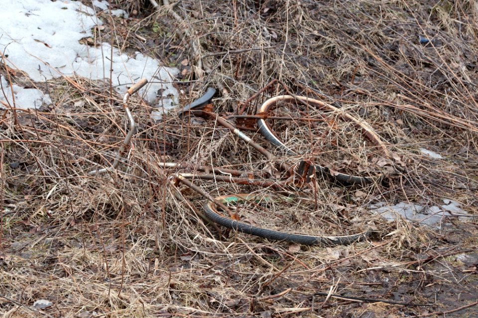Abandone bicycle Toppilansaari Oulu 20200419
