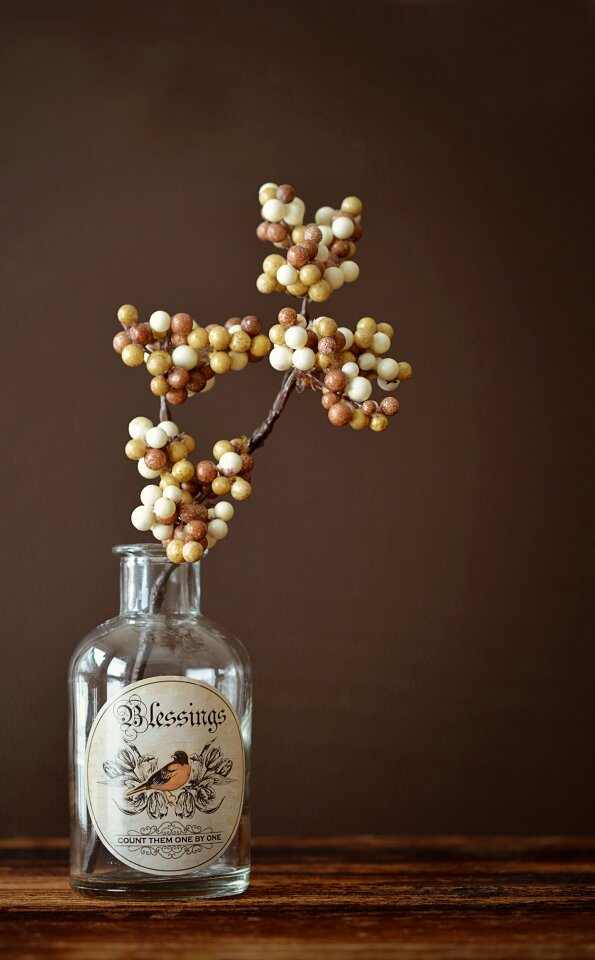 Still life close up shades of brown