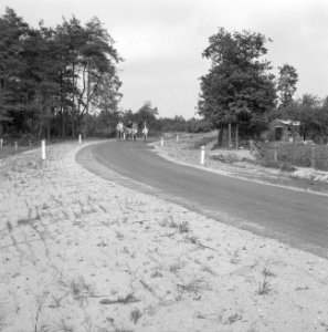 Aanleg en verbeteren van wegen, dijken en spaarbekken, Langstraat, Bestanddeelnr 161-0929