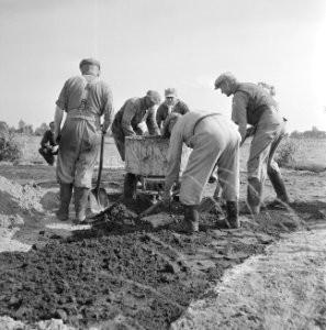Aanleg en verbeteren van wegen, dijken en spaarbekken, bitumenstabilisatie, dwan, Bestanddeelnr 161-0540