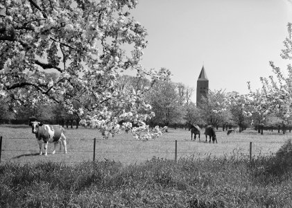 Aanleg en verbeteren van wegen, dijken en spaarbekken, boomgaard, weide, kerken,, Bestanddeelnr 161-0182
