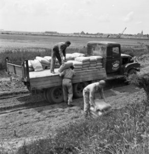 Aanleg en verbeteren van wegen, dijken en spaarbekken, cementstabilisatie, cemen, Bestanddeelnr 161-0391