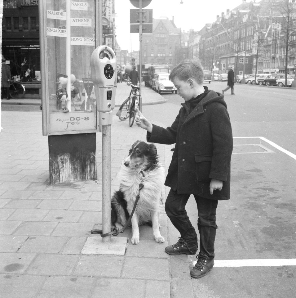 Amsterdamse jongen bindt hond vast aan nieuwe parkeermeter, Bestanddeelnr 916-1979