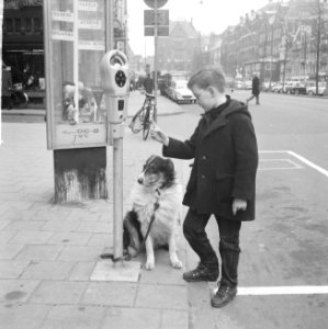 Amsterdamse jongen bindt hond vast aan nieuwe parkeermeter, Bestanddeelnr 916-1979