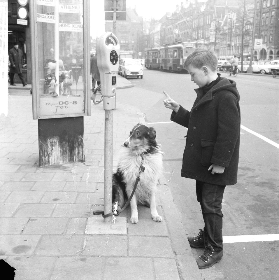 Amsterdamse jongen bindt hond vast aan nieuwe parkeermeter, Bestanddeelnr 916-1977