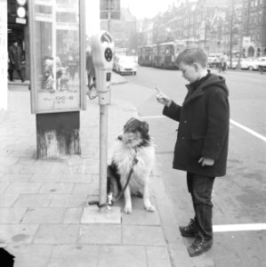 Amsterdamse jongen bindt hond vast aan nieuwe parkeermeter, Bestanddeelnr 916-1977