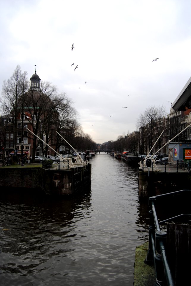 Amsterdam, 03.01.11-39