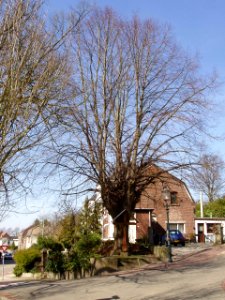 Amstenrade-Wegkruis Hoofdstraat-Poststraat (noord) (1)