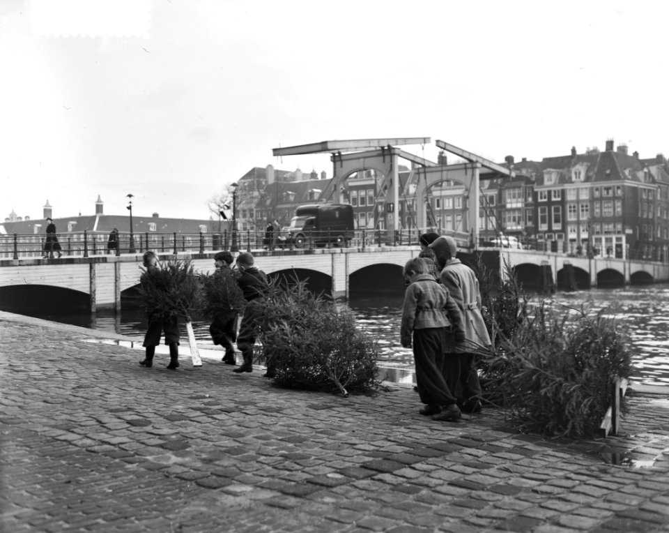 Amsterdamse jeugd verbrand kerstbomen, Bestanddeelnr 904-9055