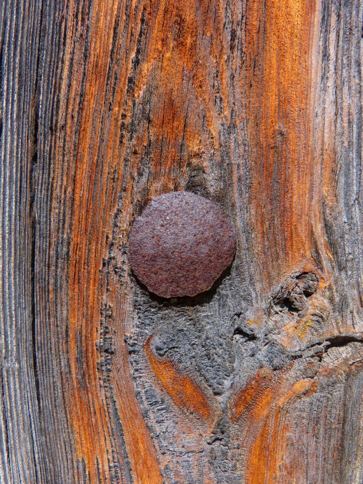 Nail texture old wood