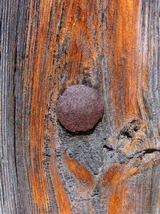 Nail texture old wood
