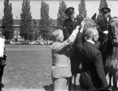 Amsterdamse bereden politie jubileum rond draaiorgel, Bestanddeelnr 904-0246