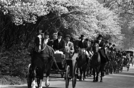 Amsterdamse Bos bestaat 50 jaar burgemeester Van Thijn in koets onder de bloese, Bestanddeelnr 932-9523