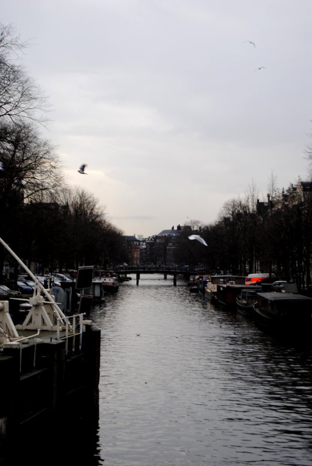 Amsterdam, 03.01.11-41