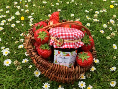 Homemade jam daisies homemade