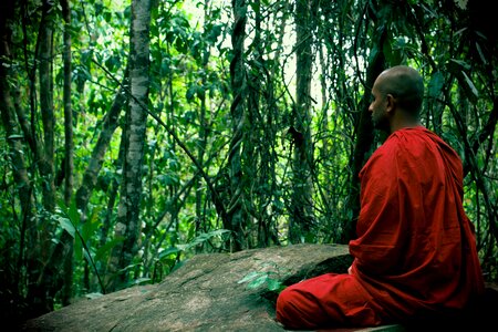Sri lanka buddhist monk photo