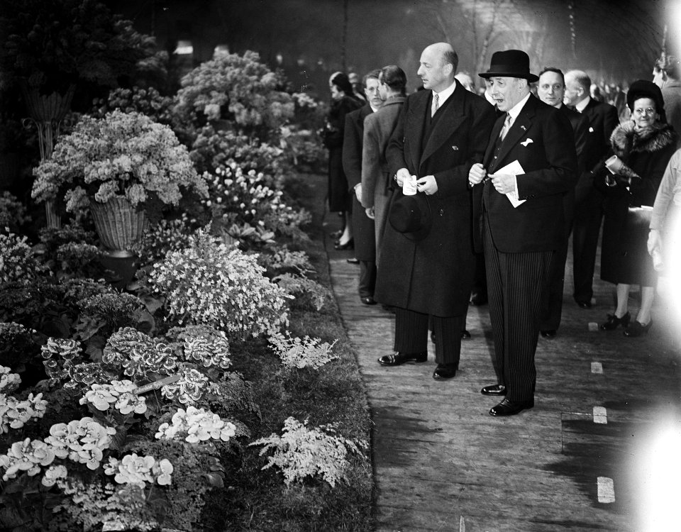 Amstelflora, Bestanddeelnr 934-6777
