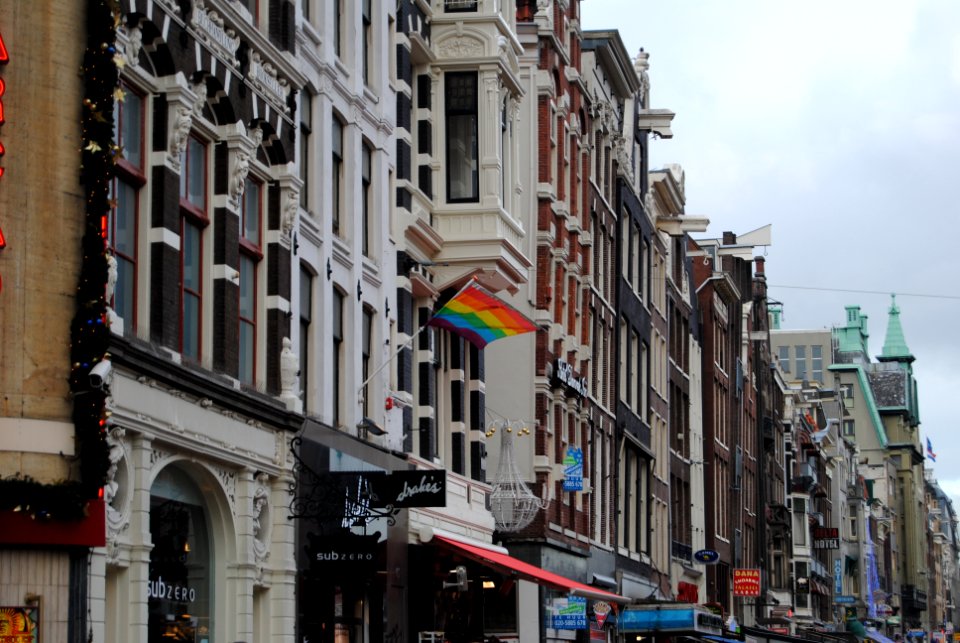 Amsterdam, 03.01.11-04