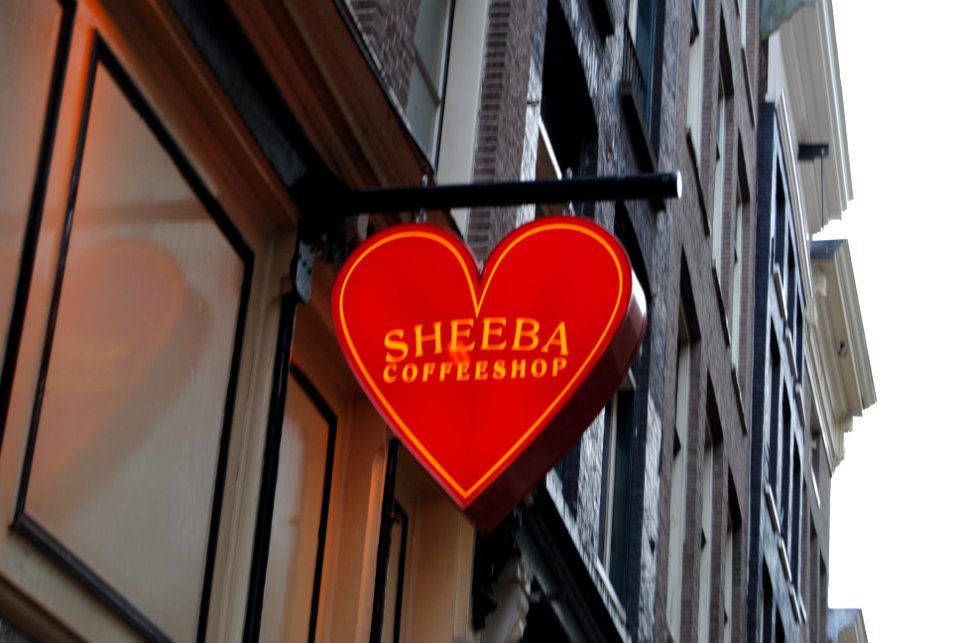 Amsterdam, 03.01.11-14