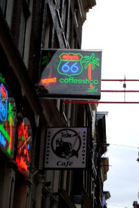 Amsterdam, 03.01.11-15