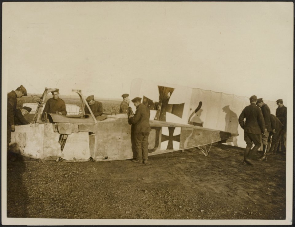 An Albatross brought down by us, Bestanddeelnr 158-2039