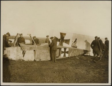 An Albatross brought down by us, Bestanddeelnr 158-2039
