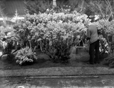 Amstelflora, Bestanddeelnr 902-6430