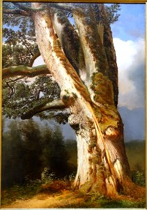 An Oak Tree by Alexandre Calame, 1850-1855, oil on canvas - Portland Art Museum - Portland, Oregon - DSC09096