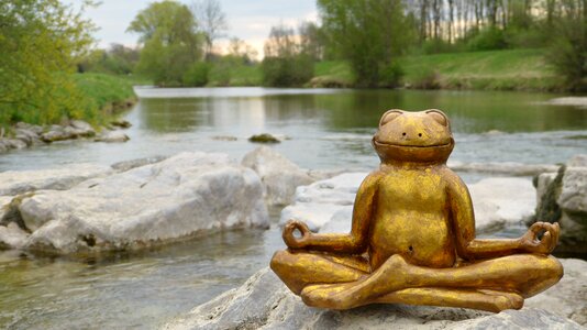 Frog ceramic smile