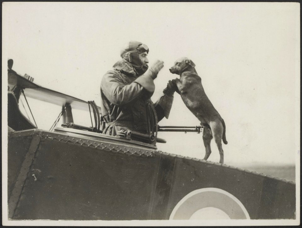 An observer with his dog who does acrobatic feats on the fuselage, Bestanddeelnr 158-2537